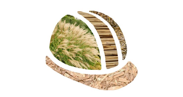 Miscanthus, paille, chanvre ou roseau… Ces matériaux de construction vous passionnent ?