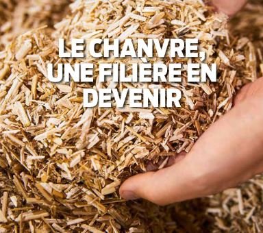 Le chanvre, une filière en devenir