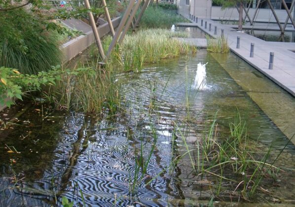 16-17/12/2024 | FORMATION | Gestion intégrée des eaux pluviales