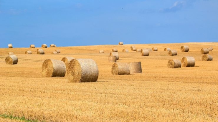 Nouveau : annuaire pro-paille des professionnels Champardennais et Lorrains