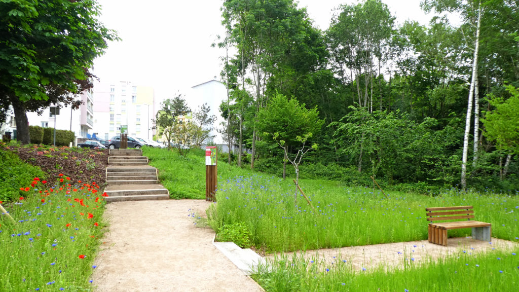 Aménagement du jardin des Elus de la Libération à Saint-Dié-des-Vosges