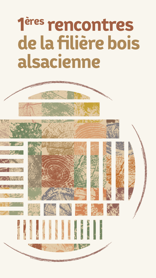 Diaporama. La roseraie de Saverne révèle ses plus belles couleurs